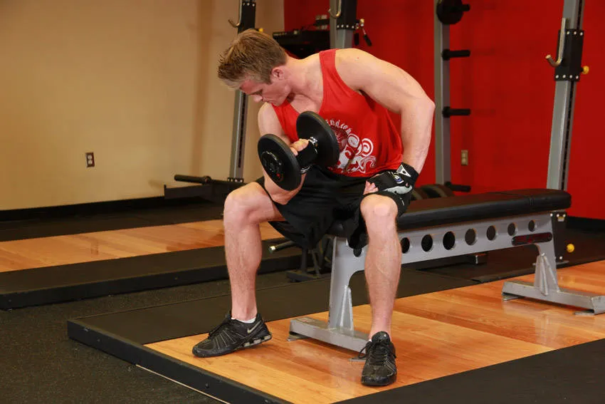 Concentration curl: start and finish positions