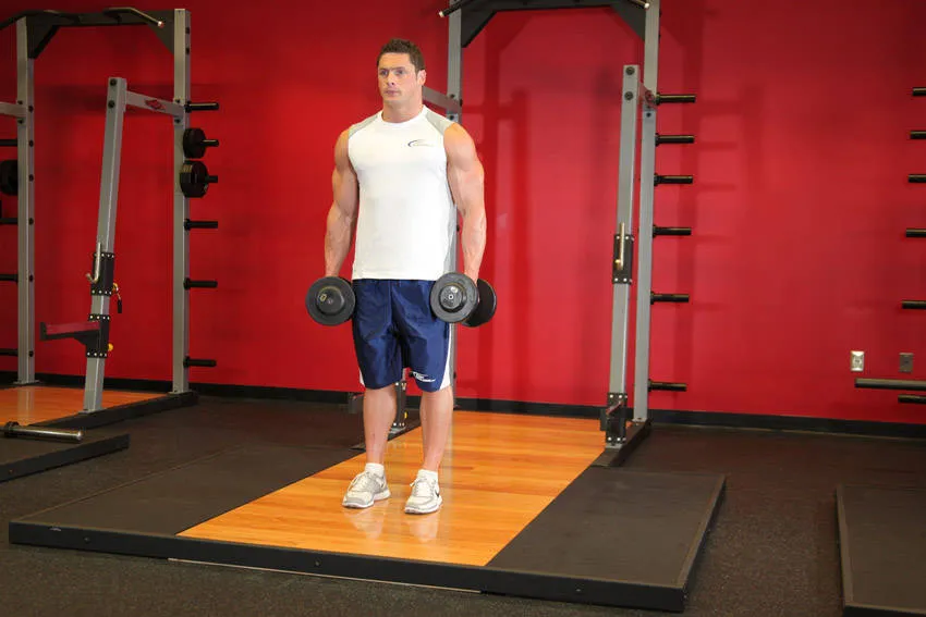 Dumbbell curl: start and finish positions