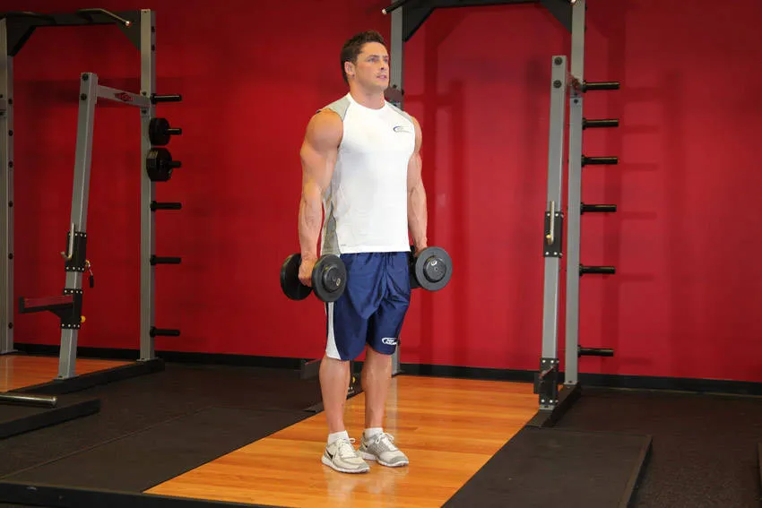 Dumbbell hammer curl: start and finish positions