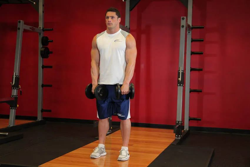 Dumbbell upright row: start and finish positions