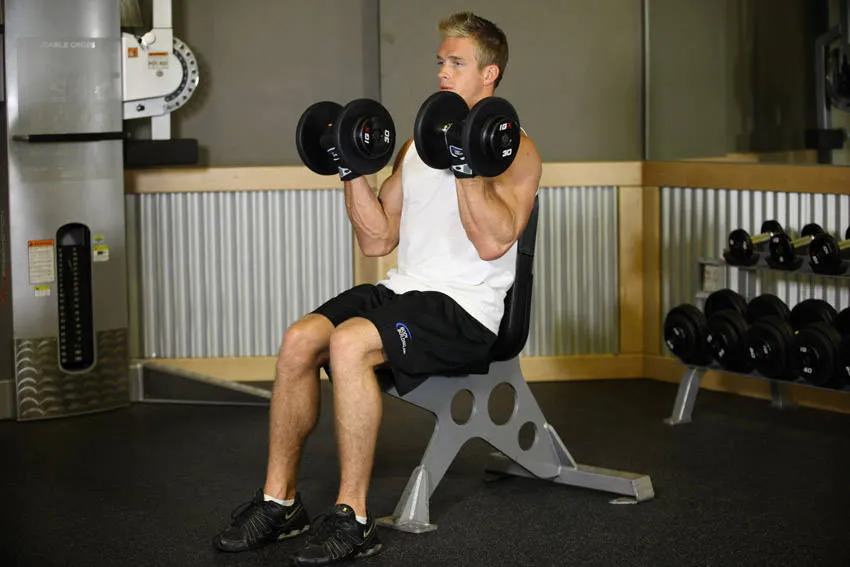 Seated dumbbell curl: start and finish positions
