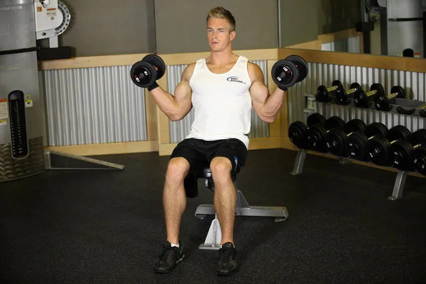 Seated inner biceps curl: start and finish positions