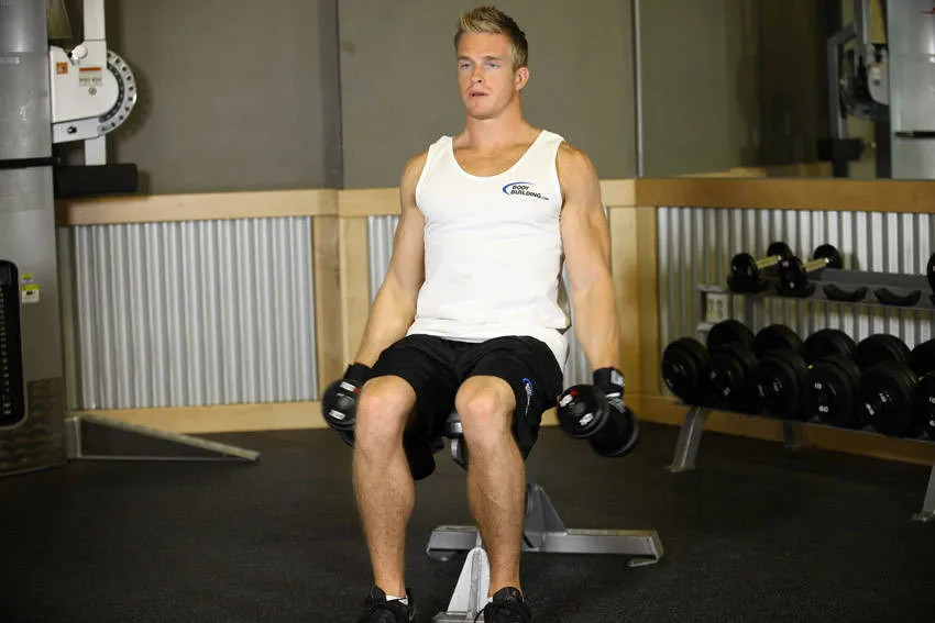 Seated lateral raise: start and finish positions