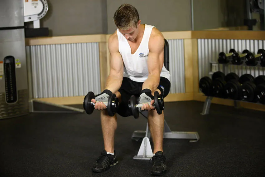 Seated palms-up wrist curl: start and finish positions