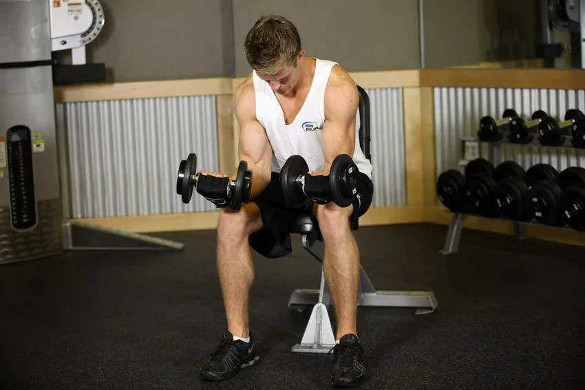 Seated palms-up wrist curl: start and finish positions