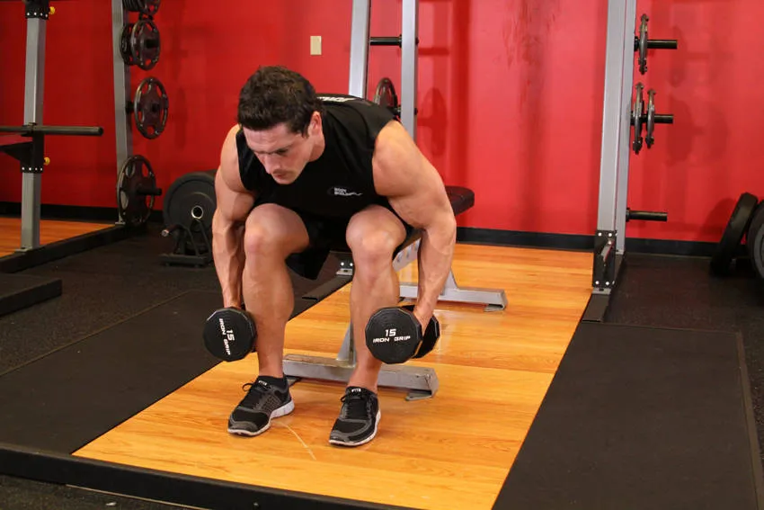 Seated rear delt raise: start and finish positions