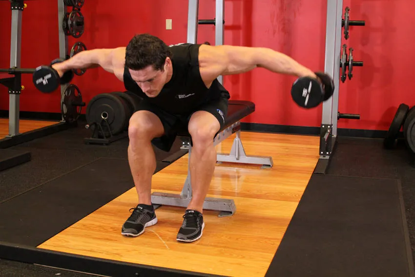 Seated rear delt raise: start and finish positions
